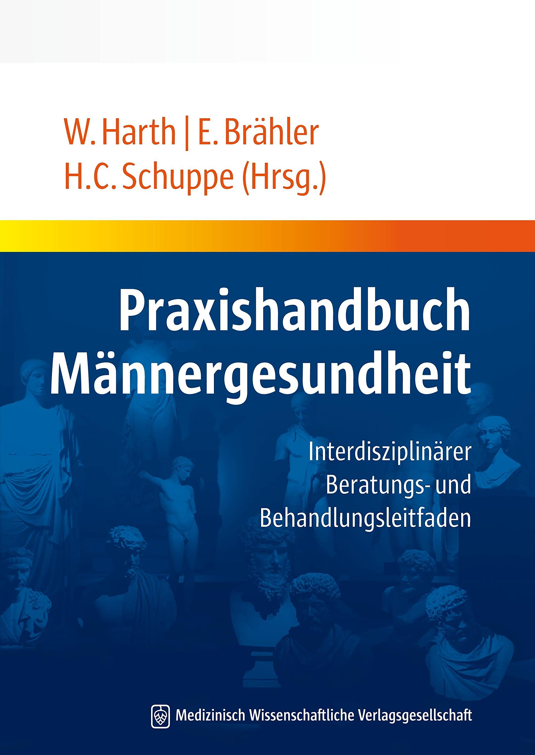 Praxishandbuch Männergesundheit Medicine Books