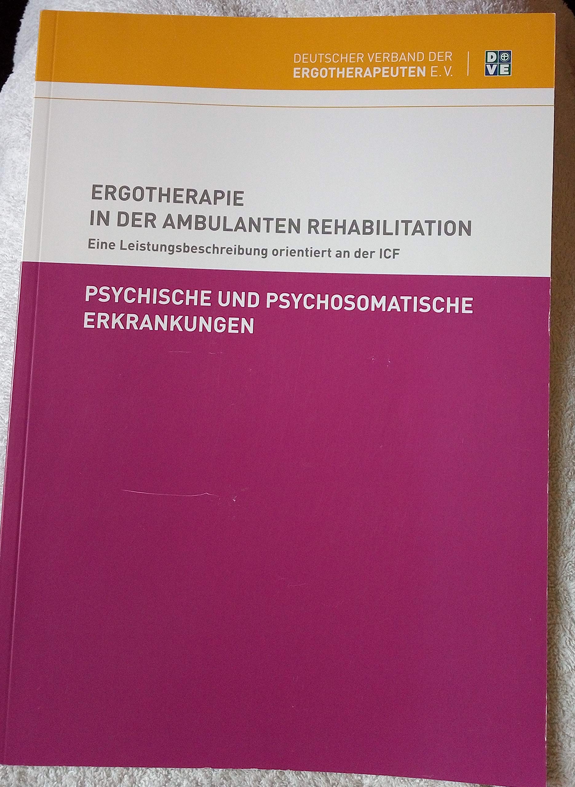 Ergotherapie in der ambulanten Rehabilitation bei psychischen und psychosomatischen Erkrankungen: Eine leistungsbeschreibung orieniert an der ICF Medicine