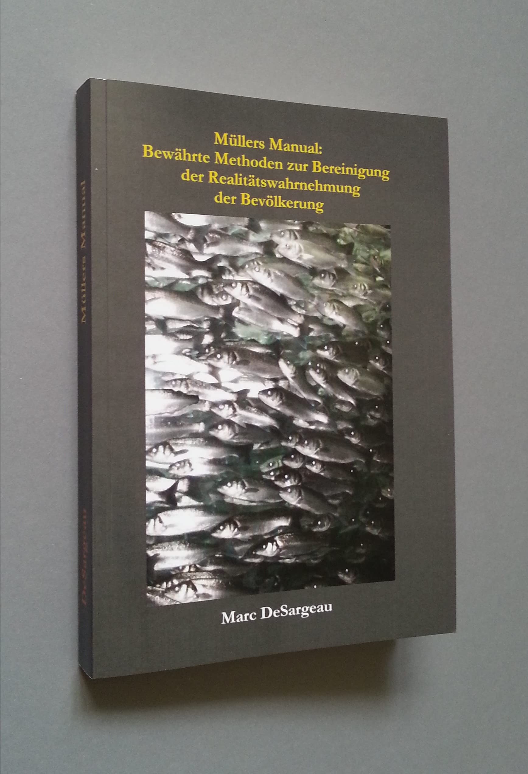 Müllers Manual: Bewährte Methoden zur Bereinigung der Realitätswahrnehmung der Bevölkerung Politics & History