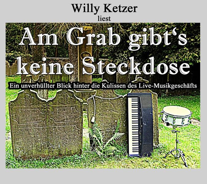 Am Grab gibt's keine Steckdose: Ein unverhüllter Blick hinter die Kulissen des Musikgeschäfts Contemporary literature