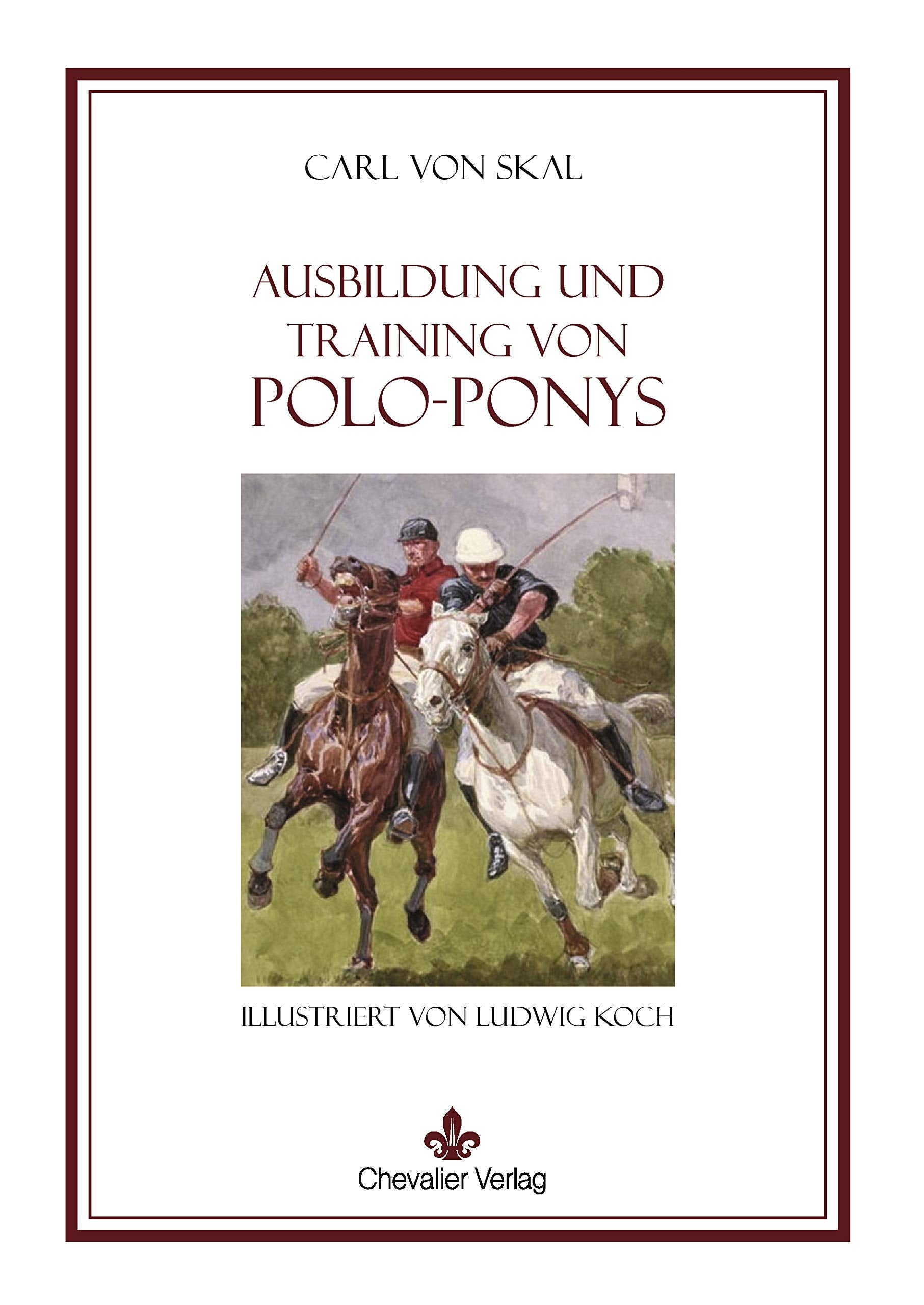 Ausbildung und Training von Polo Ponys Pets