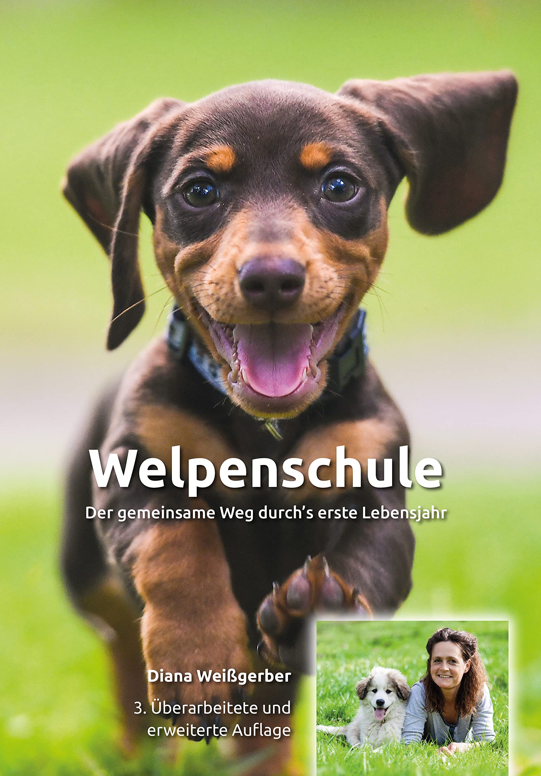 Welpenschule: Der gemeinsame Weg durch´s erste Jahr Pets