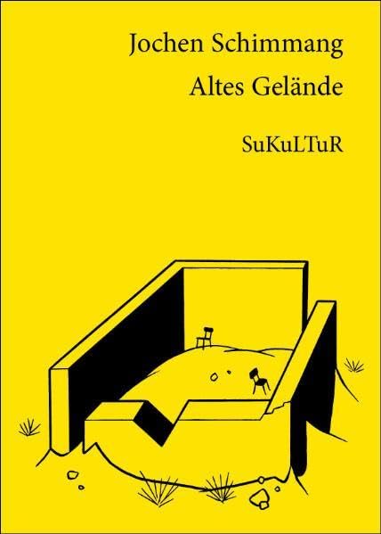 Altes Gelände (Schöner Lesen) Contemporary literature