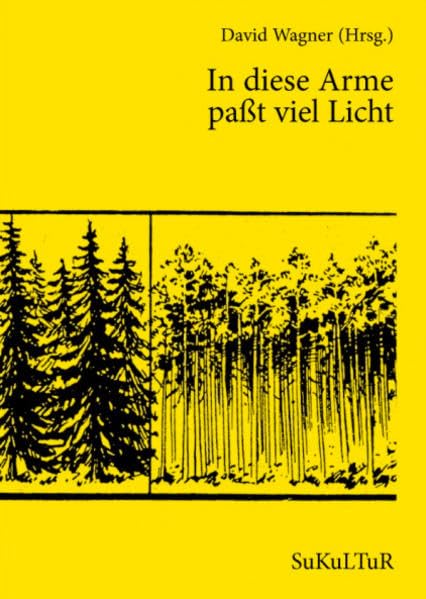 In diese Arme paßt viel Licht: Neue Finnische Lyrik (Schöner Lesen) Poetry