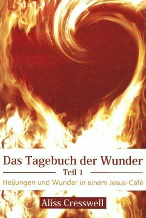 Das Tagebuch der Wunder - Teil 1 Books