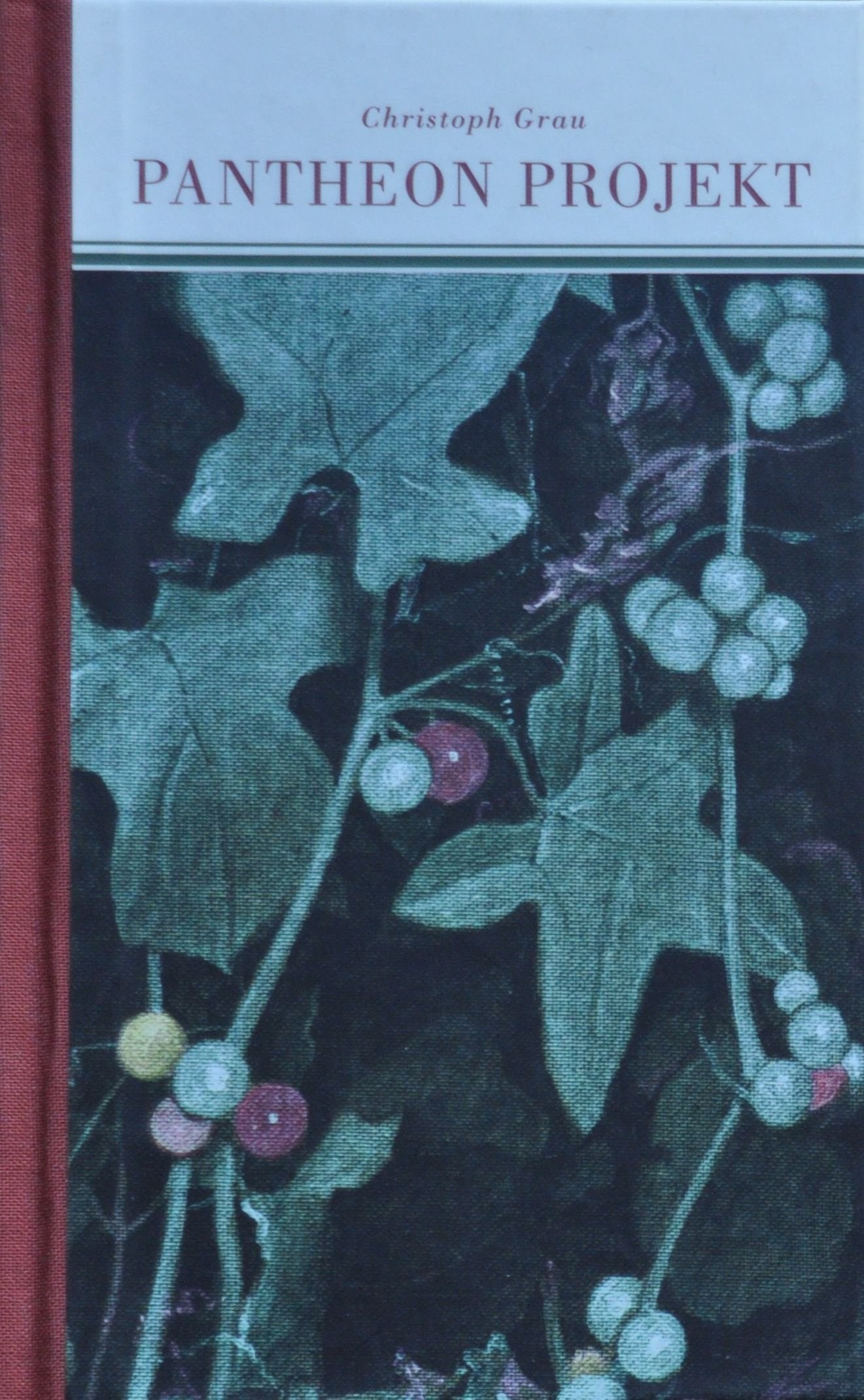 Pantheon Projekt Contemporary literature Books