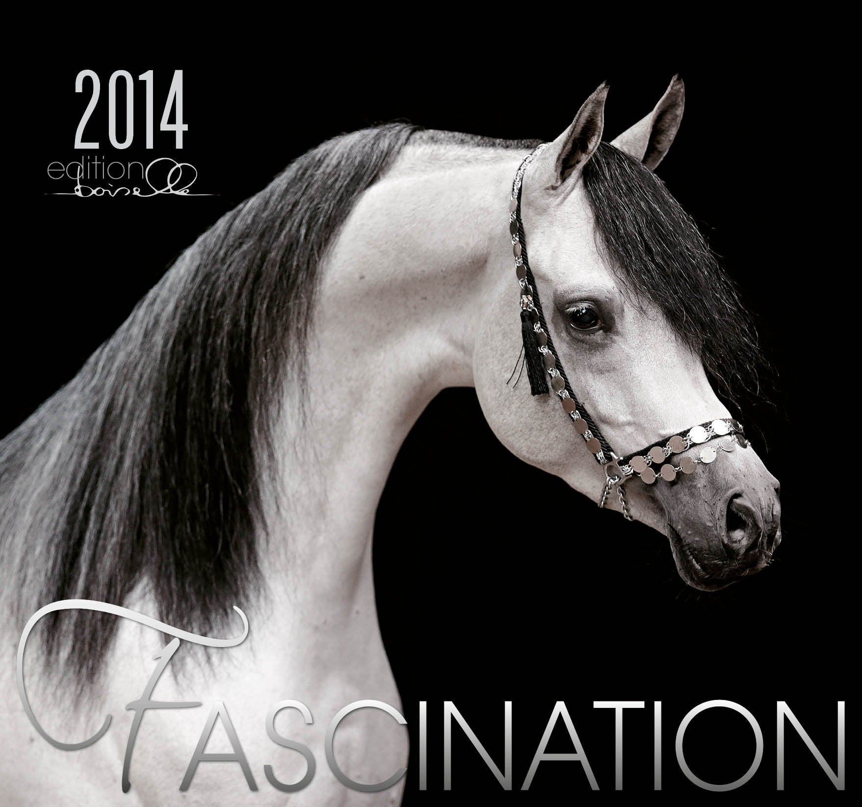 Fascination 2014 Kalender - Arabische Pferde - 62x58 cm Calendars