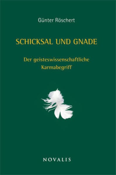 Schicksal und Gnade: Der geisteswissenschaftliche Karmabegriff (Geisteswissenschaften) Philosophy