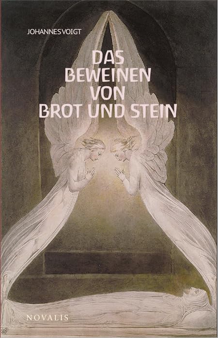 Reihe Geisteswissenschaft / Das Beweinen von Brot und Stein Books