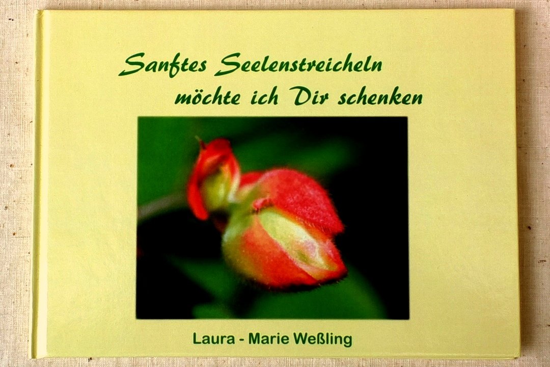 Sanftes Seelenstreicheln möchte ich Dir schenken Contemporary literature