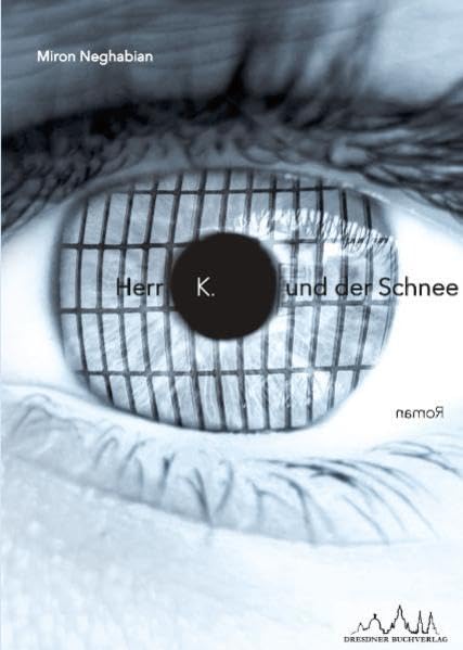 Herr K. und der Schnee: Roman Contemporary literature