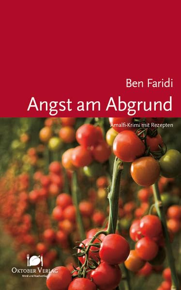 Angst am Abgrund Contemporary literature Books