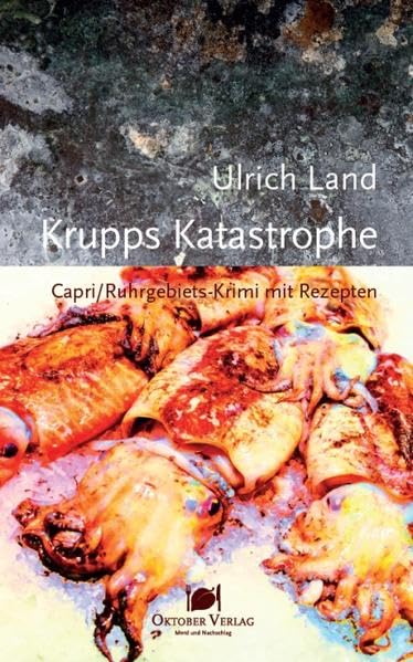 Krupps Katastrophe Contemporary literature Books