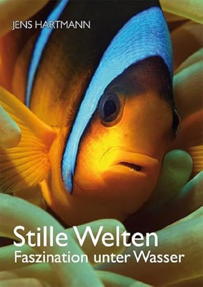 Stille Welten Architecture Books
