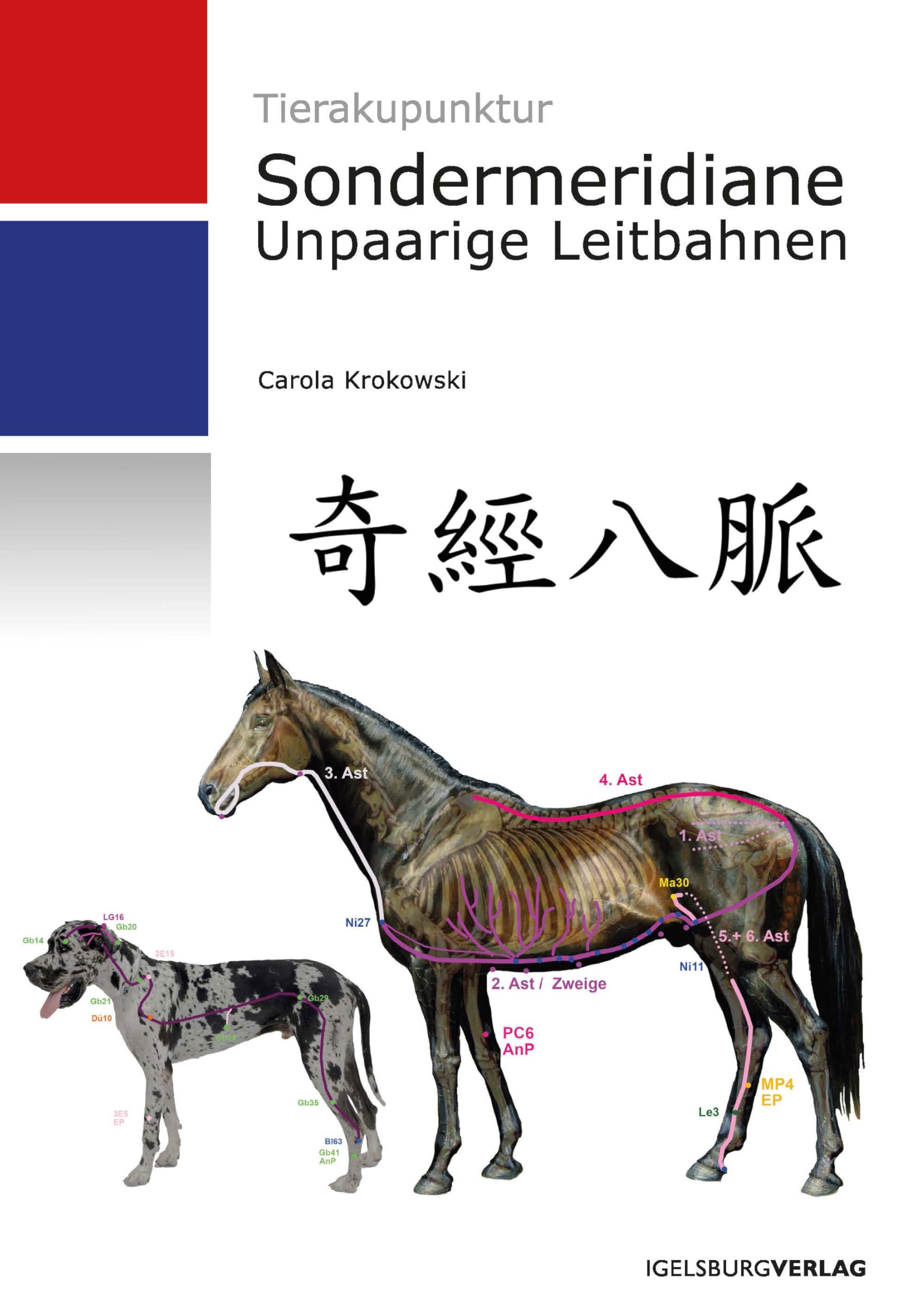 Tierakupunktur: Unpaarige Leitbahnen/Sondermeridiane Medicine