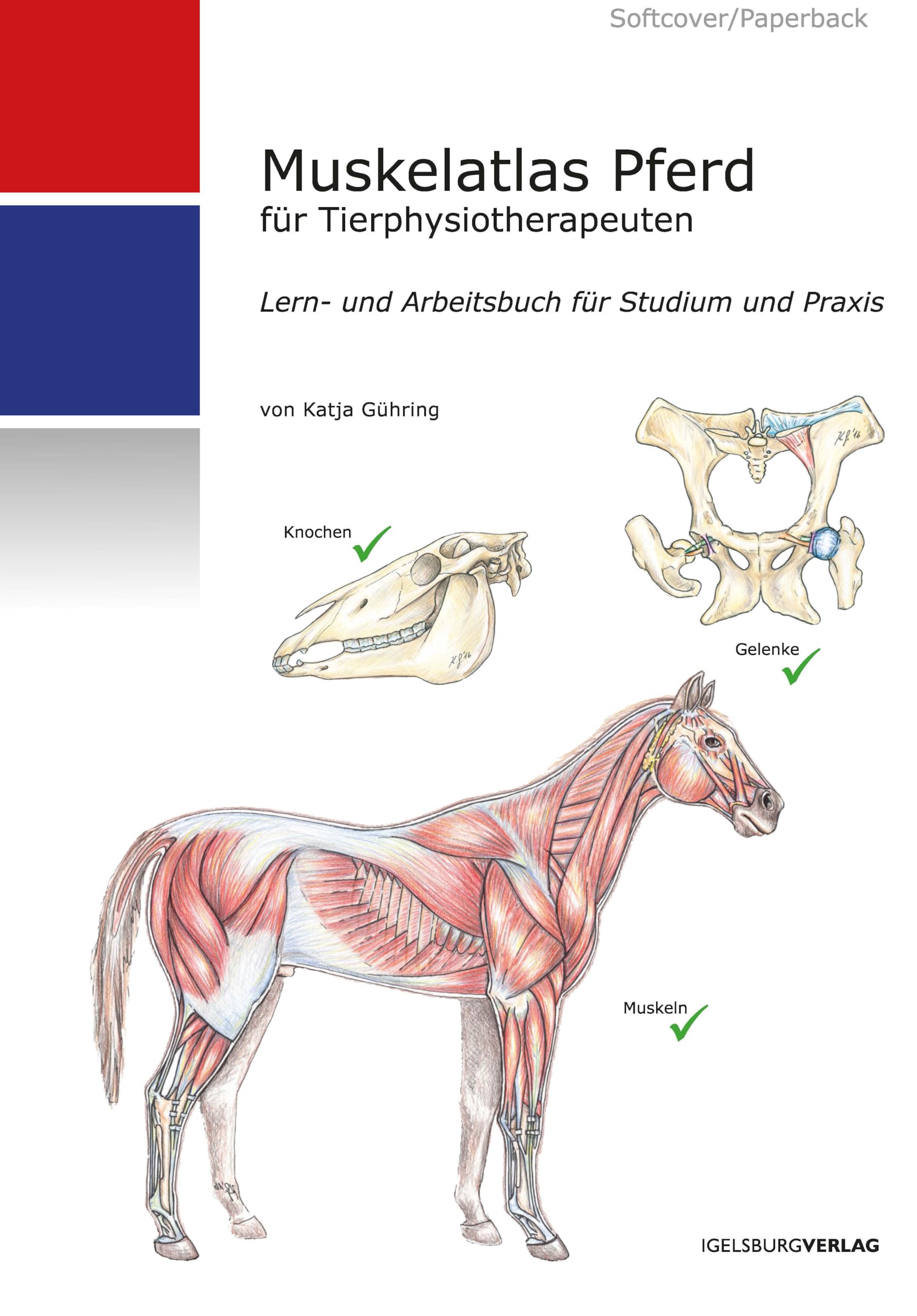 Muskelatlas Pferd (Softcover): Lern- und Arbeitsbuch für Tierphysiotherapeuten Medicine
