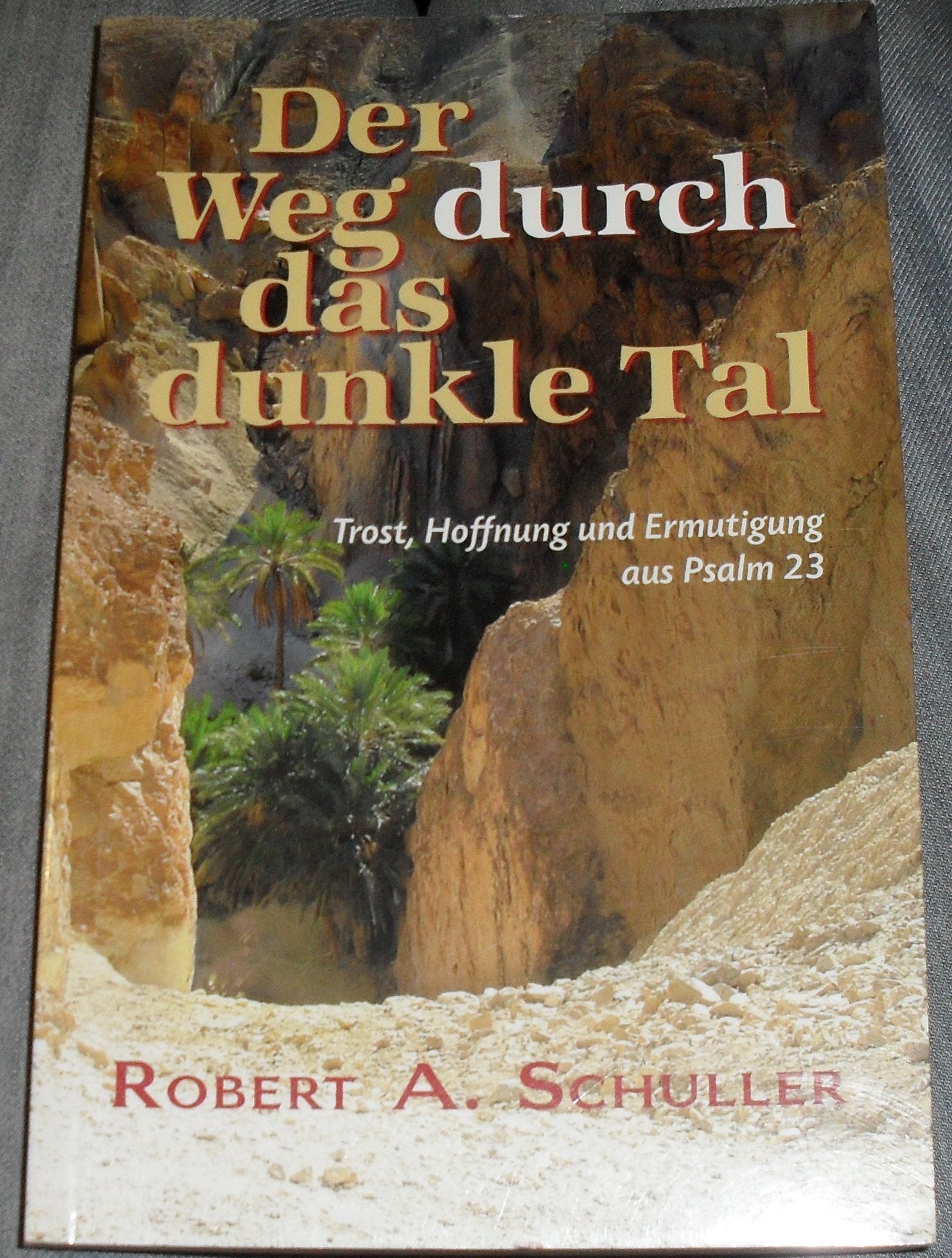 Der Weg durch das dunkle Tal: Trost, Hoffnung und Ermutigung aus Psalm 23 Lifestyle