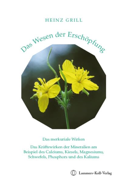 Das Wesen der Erschöpfung book
