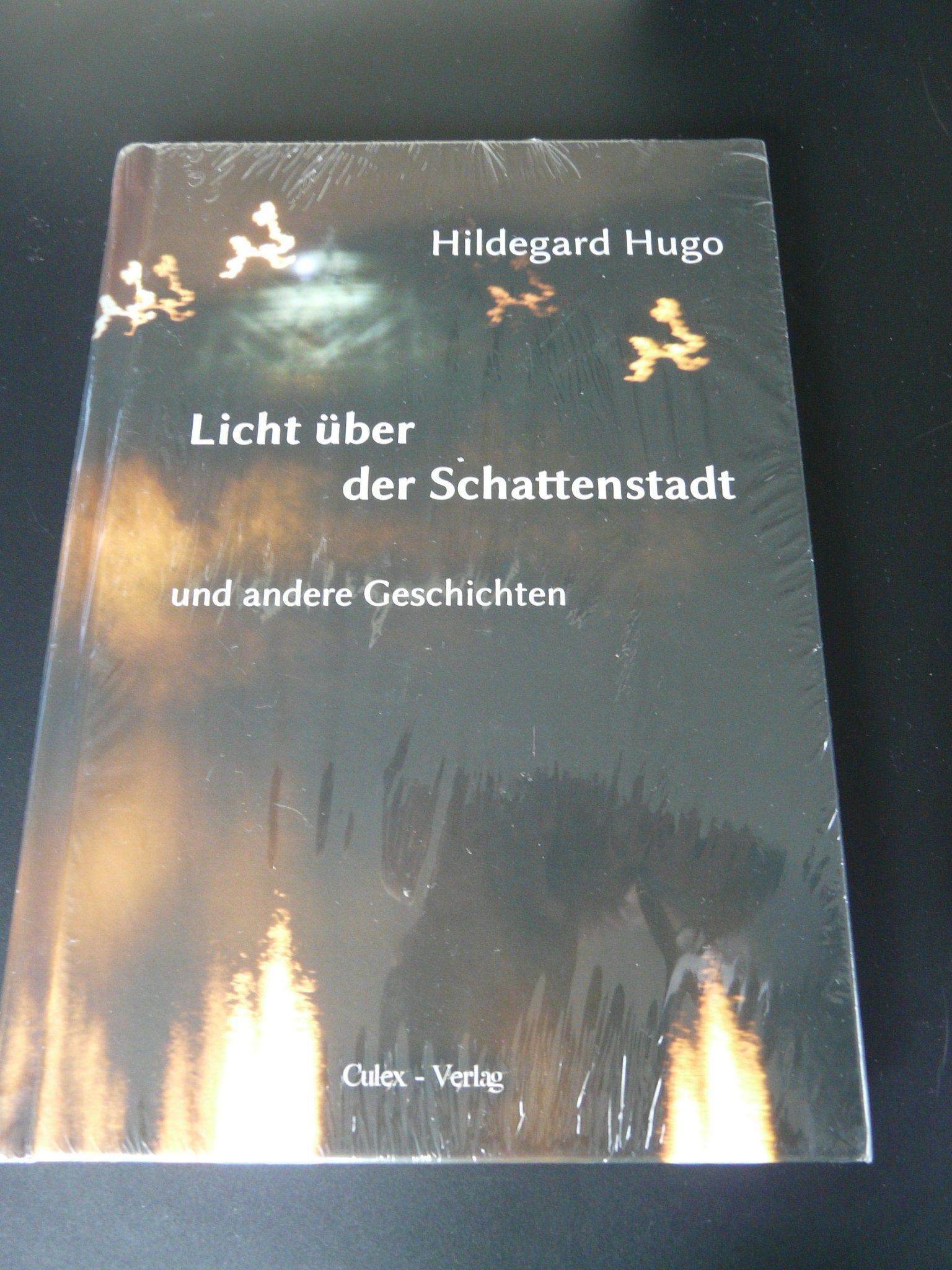 Licht über der Schattenstadt: und andere Geschichten Contemporary literature