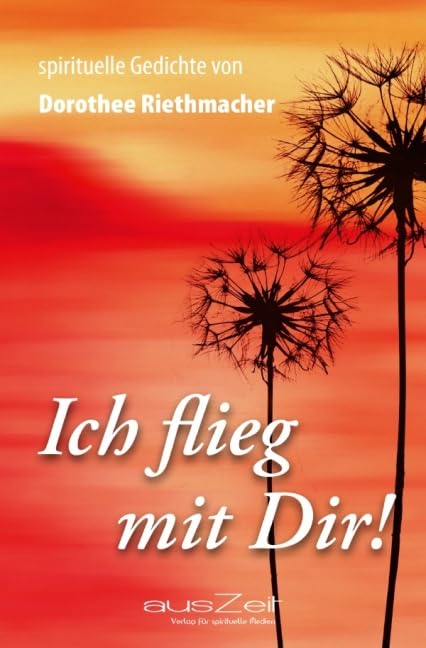 Ich flieg mit Dir!: Spirituelle Gedichte von Dorothee Riethmacher Contemporary literature Books