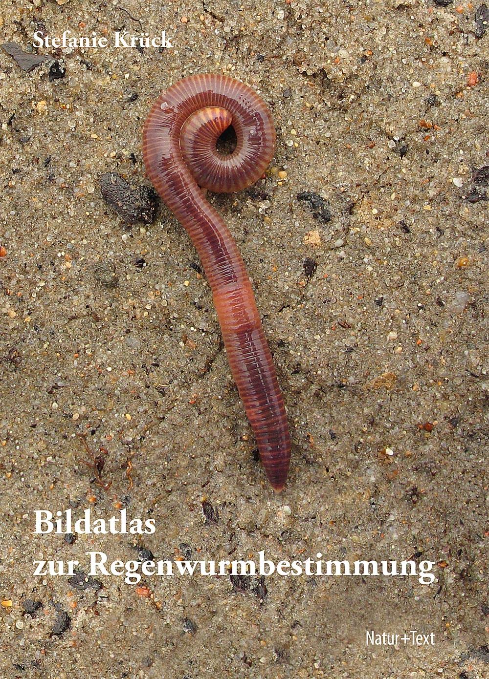 Bildatlas zur Regenwurmbestimmung: mit einem Kompendium der Regenwurmfauna des Nordostdeutschen Tieflands Mathematics