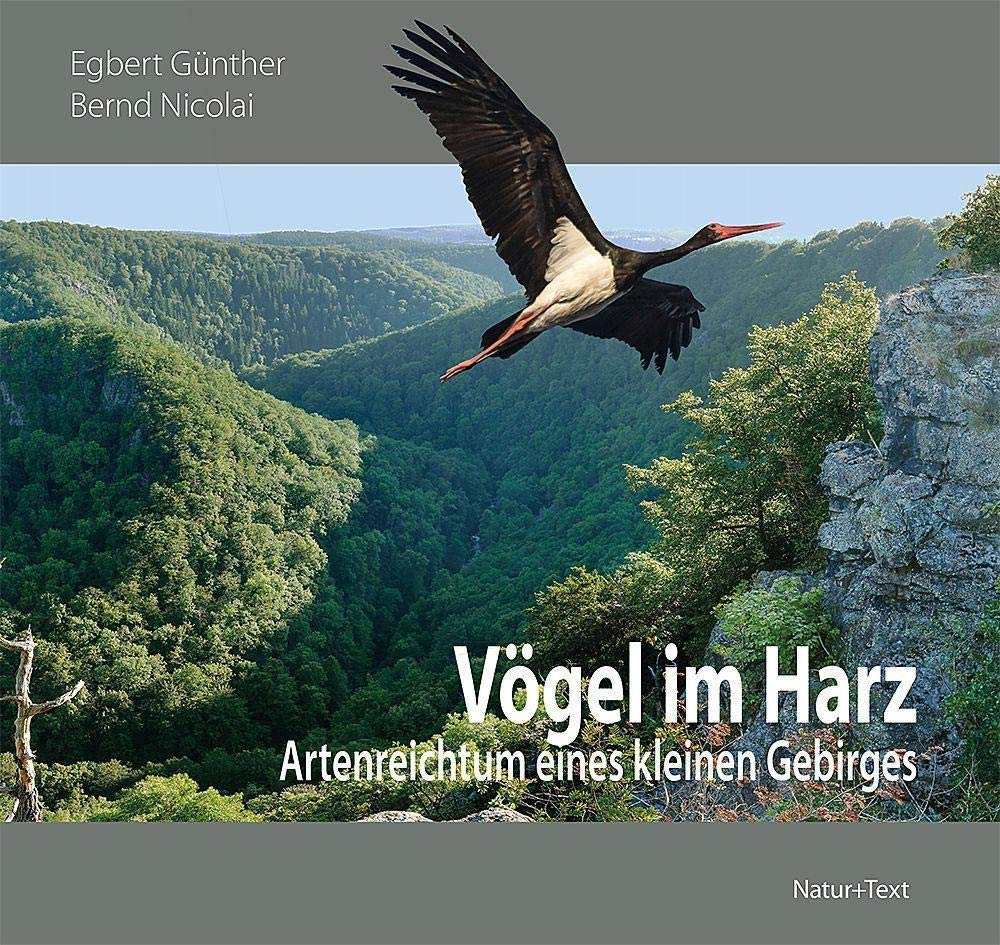 Vögel im Harz: Artenreichtum eines kleinen Gebirges Garden & Plants