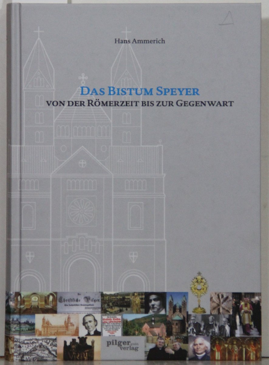 Das Bistum Speyer von der Römerzeit bis zur Gegenwart (Schriften des Diözesan-Archivs Speyer) Politics & History