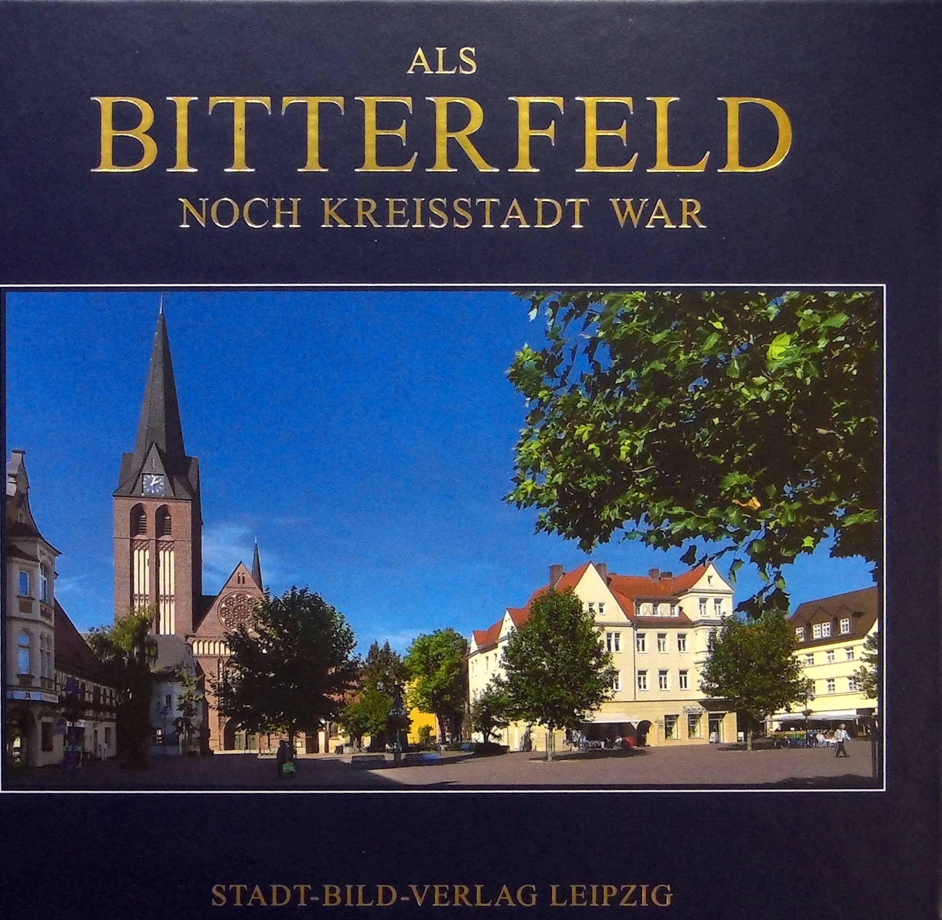 Als Bitterfeld noch Kreisstadt war Books
