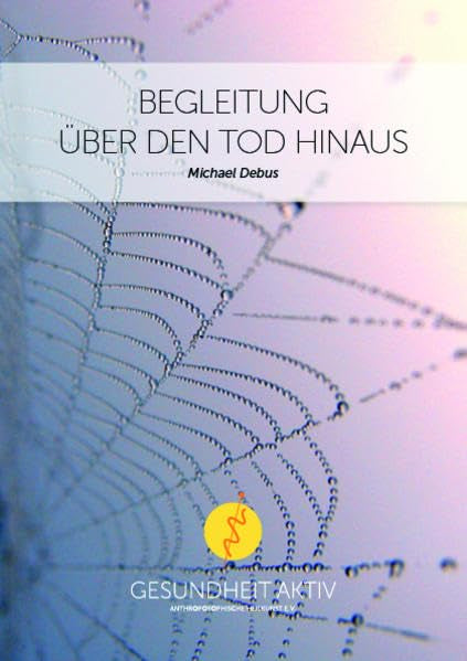 Begleitung über den Tod hinaus: Bewusstseinsstufe im nachtodlichen Leben - Debus, Michael book