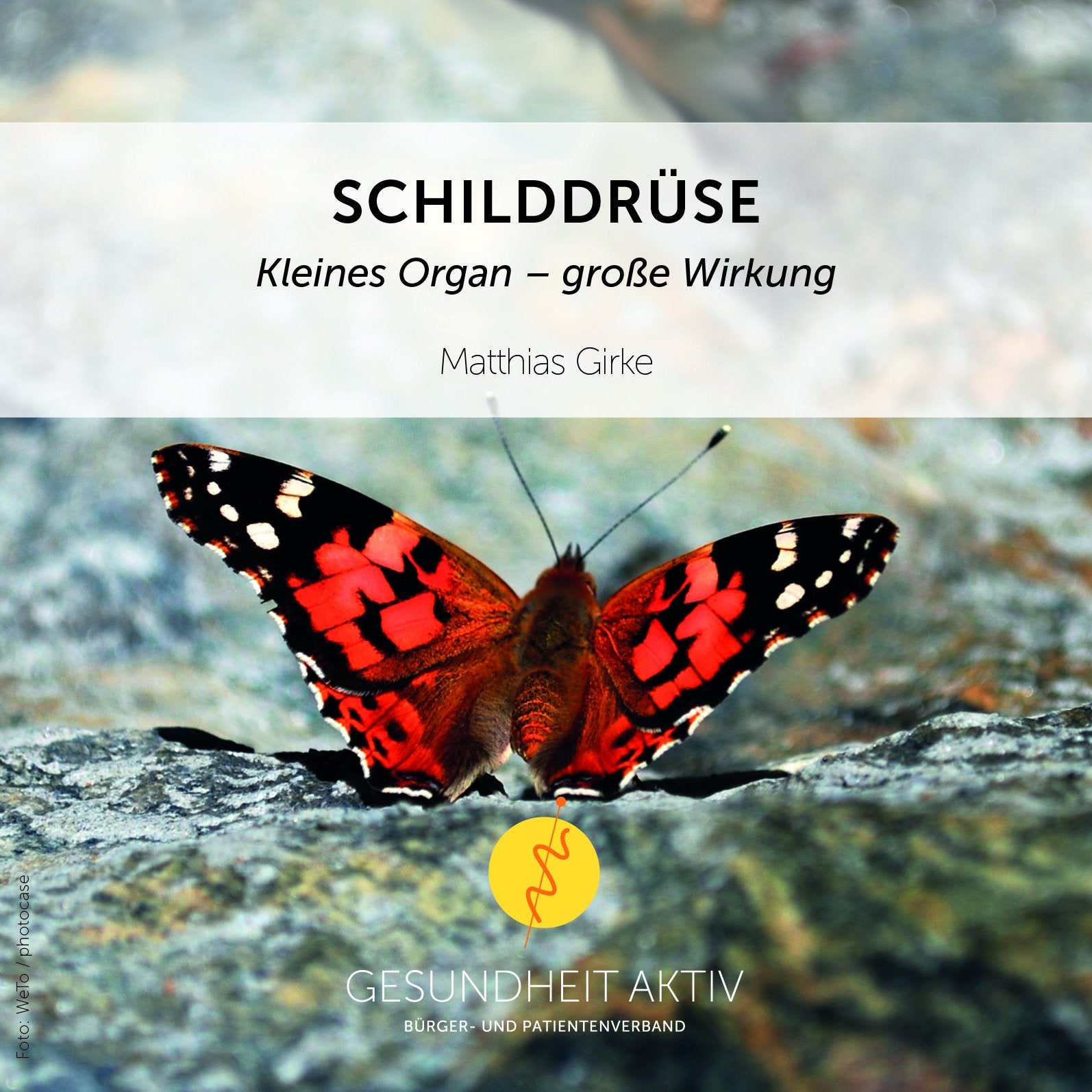 Schilddrüse: KLEINES ORGAN - GROSSE WIRKUNG Medicine