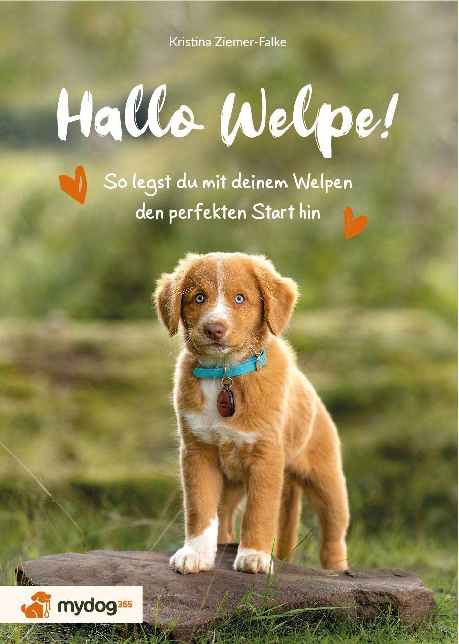 Hallo Welpe! Pets