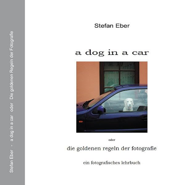a dog in a car Second-hand books on film, art and culture