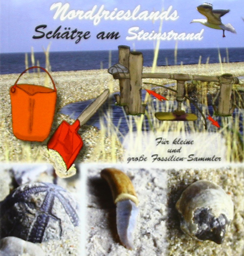 Nordfrieslands Schätze am Steinstrand - Für kleine und große Fossiliensammler Leisure, Home & Garden