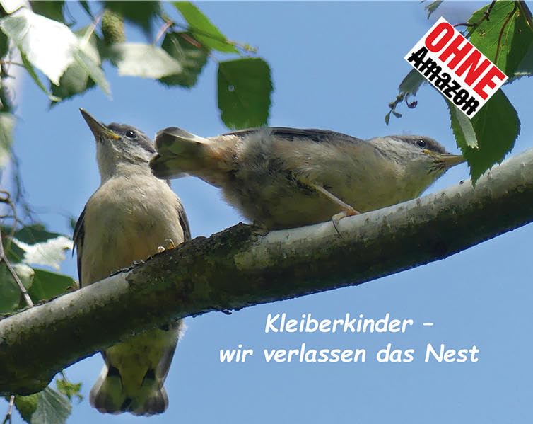 Kleiberkinder: - wir verlassen das Nest book