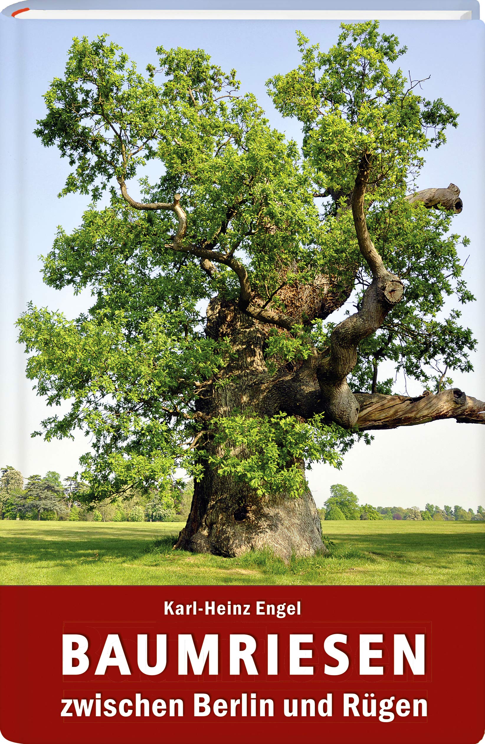 Baumriesen zwischen Berlin und Rügen: Karl-Heinz Engel Fiction