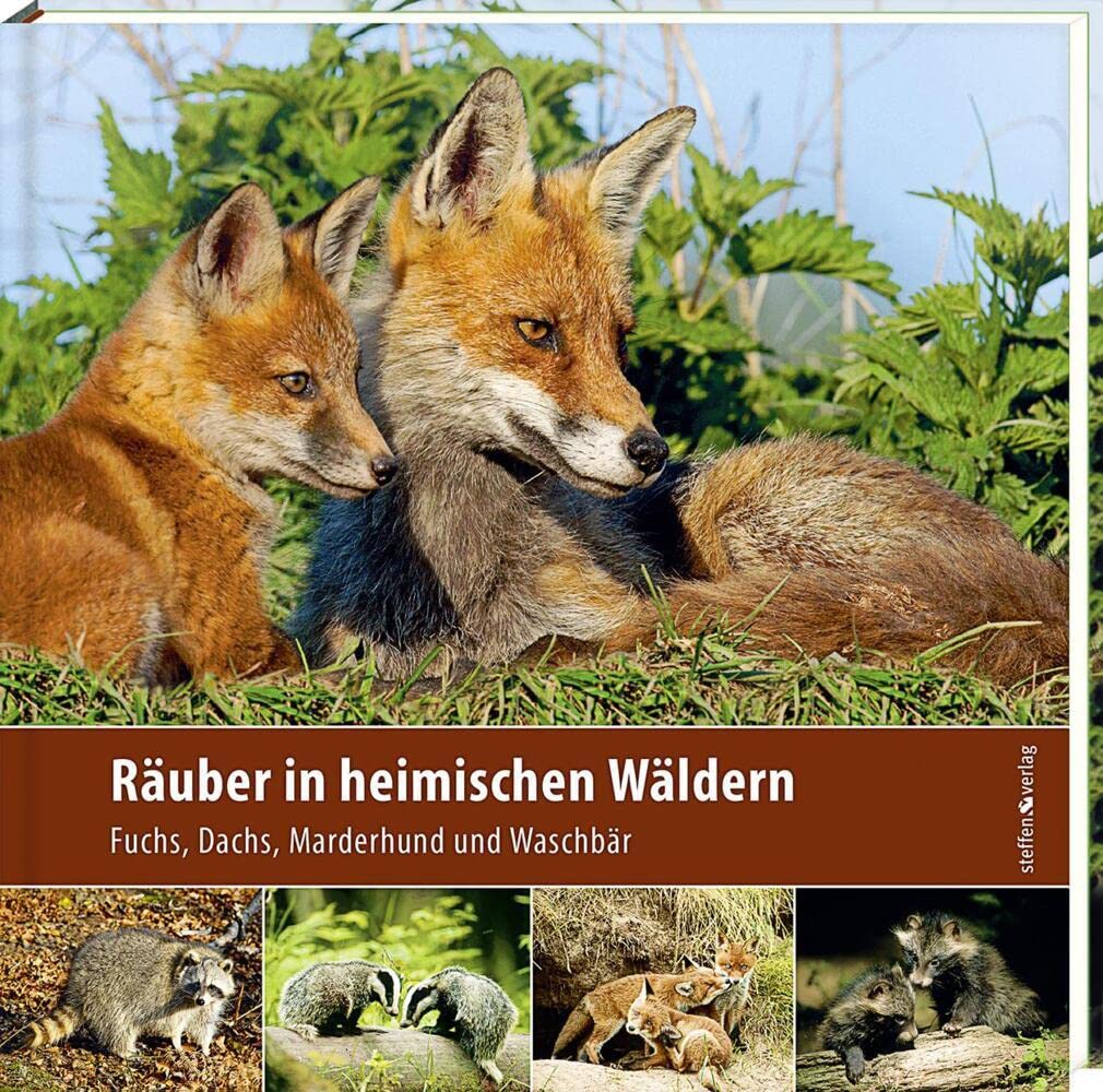 Product Image: Räuber in heimischen Wäldern