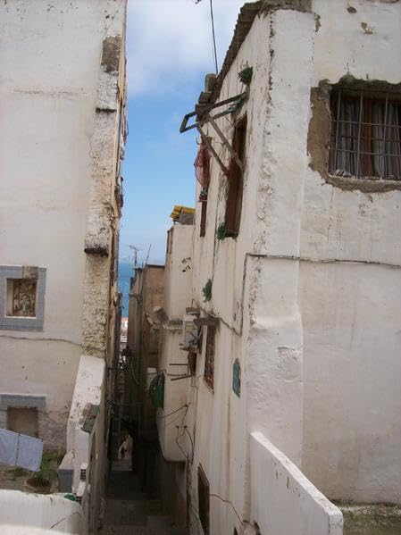 Algerien - ein Land holt auf! book