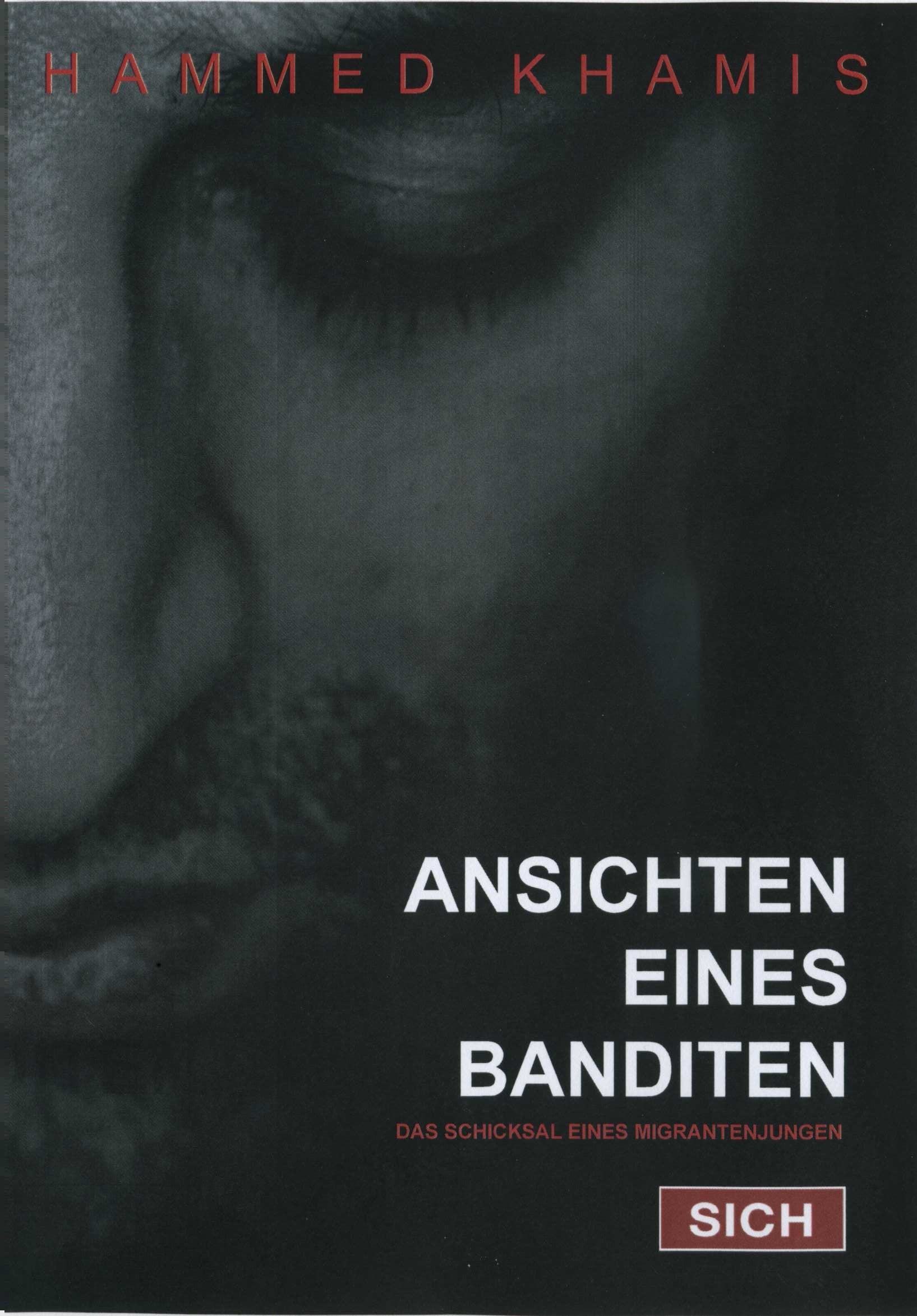 Ansichten eines Banditen: Das Schicksal eines Migrantenjungen Contemporary literature