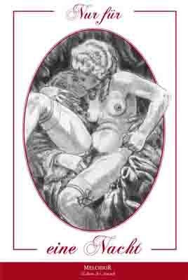 Nur für eine Nacht Contemporary literature