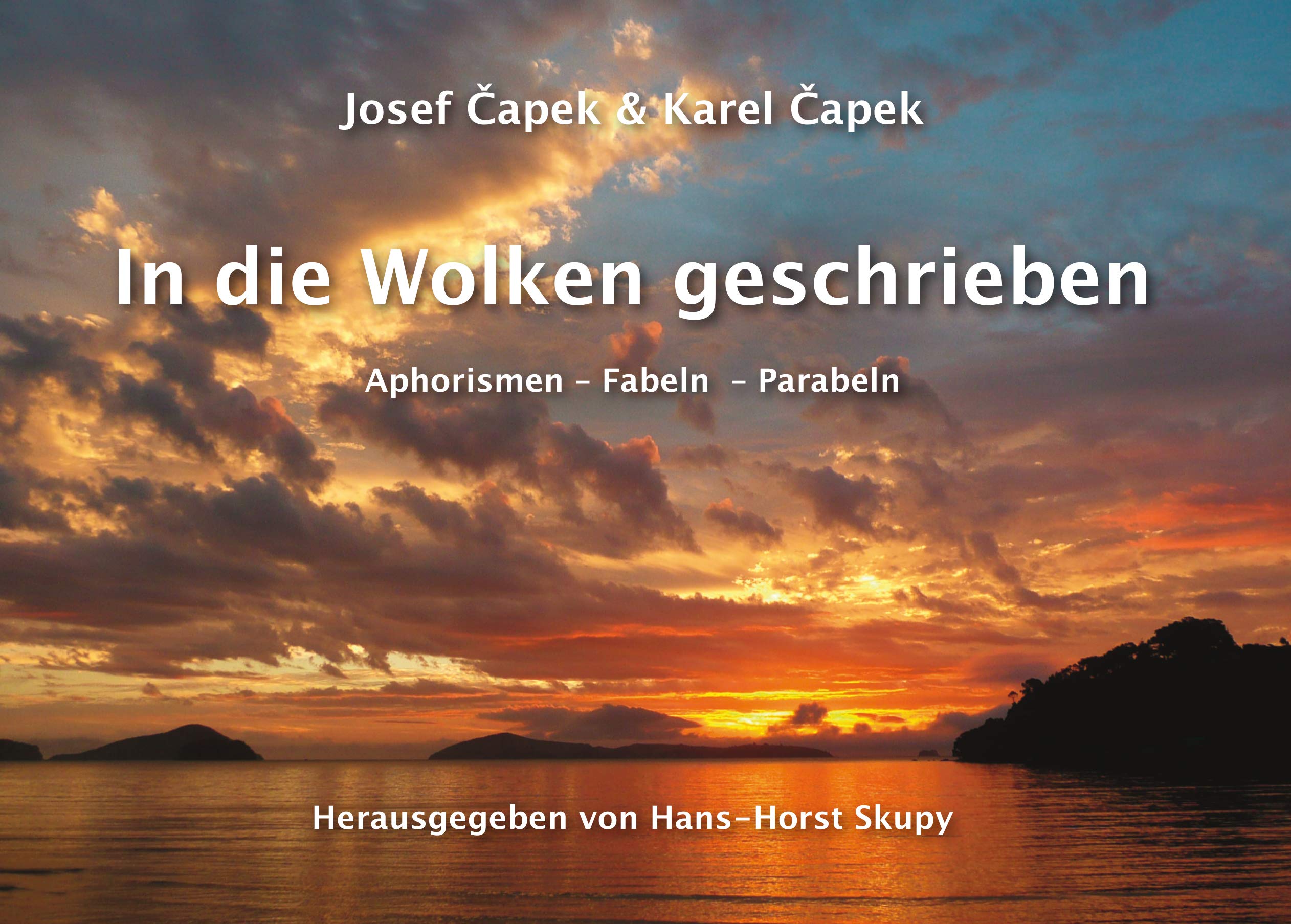 In die Wolken geschrieben: Aphorismen – Fabeln – Parabeln Contemporary literature