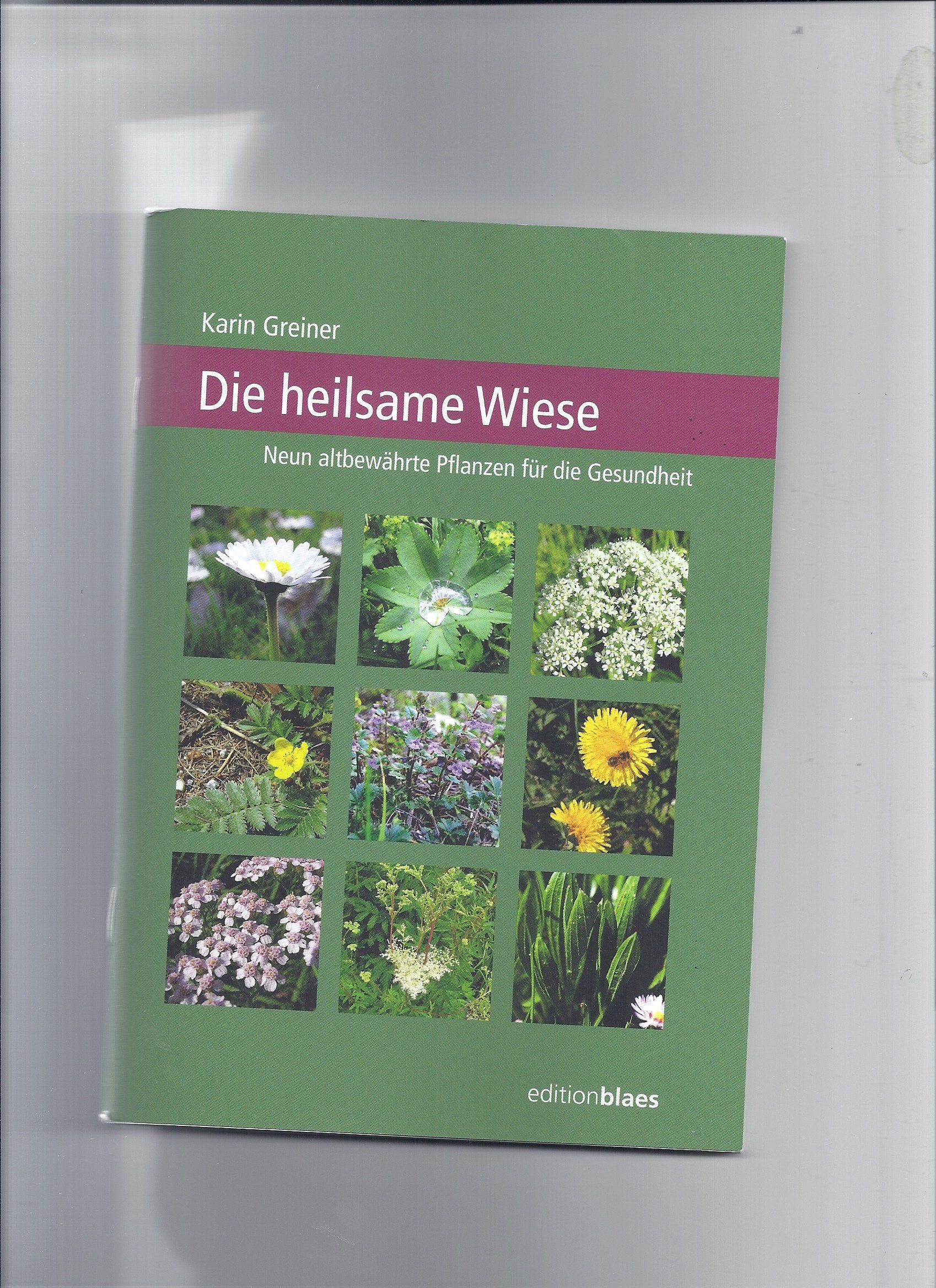 Die heilsame Wiese: Neun altbewährte Pflanzen für die Gesundheit Leisure, Home & Garden