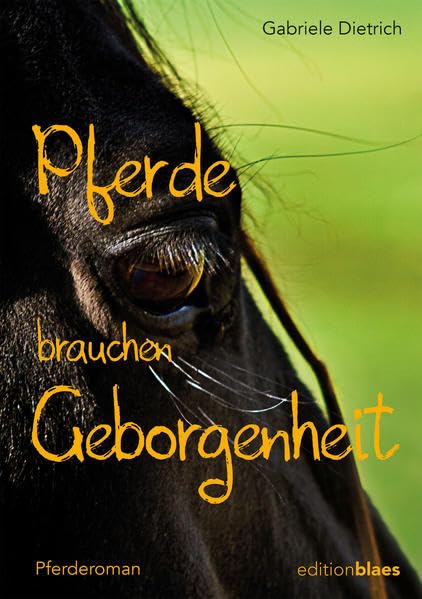 Pferde brauchen Geborgenheit: Pferderoman Contemporary literature