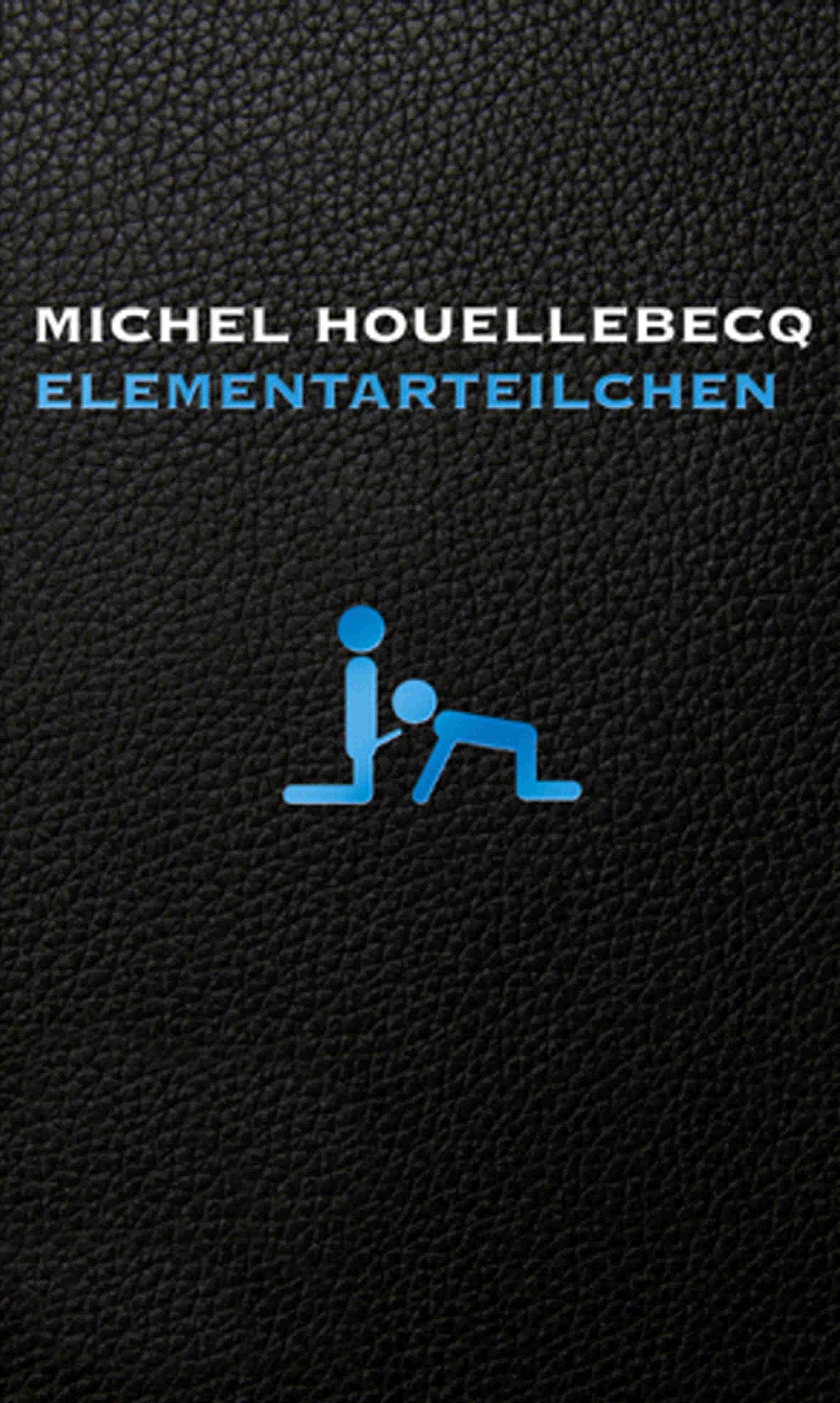 Elementarteilchen Contemporary literature Books
