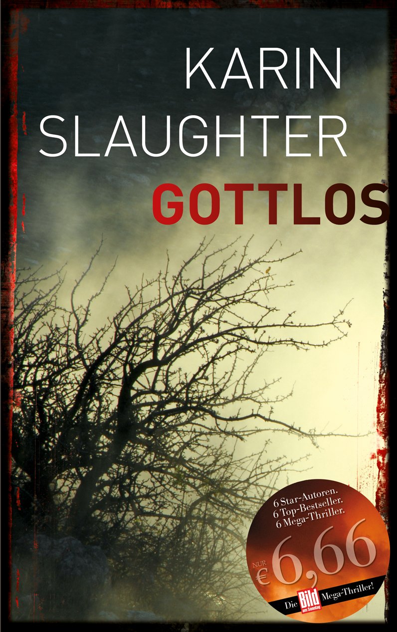 Gottlos, Bild am Sonntag Mega-Thriller 2013 Contemporary literature