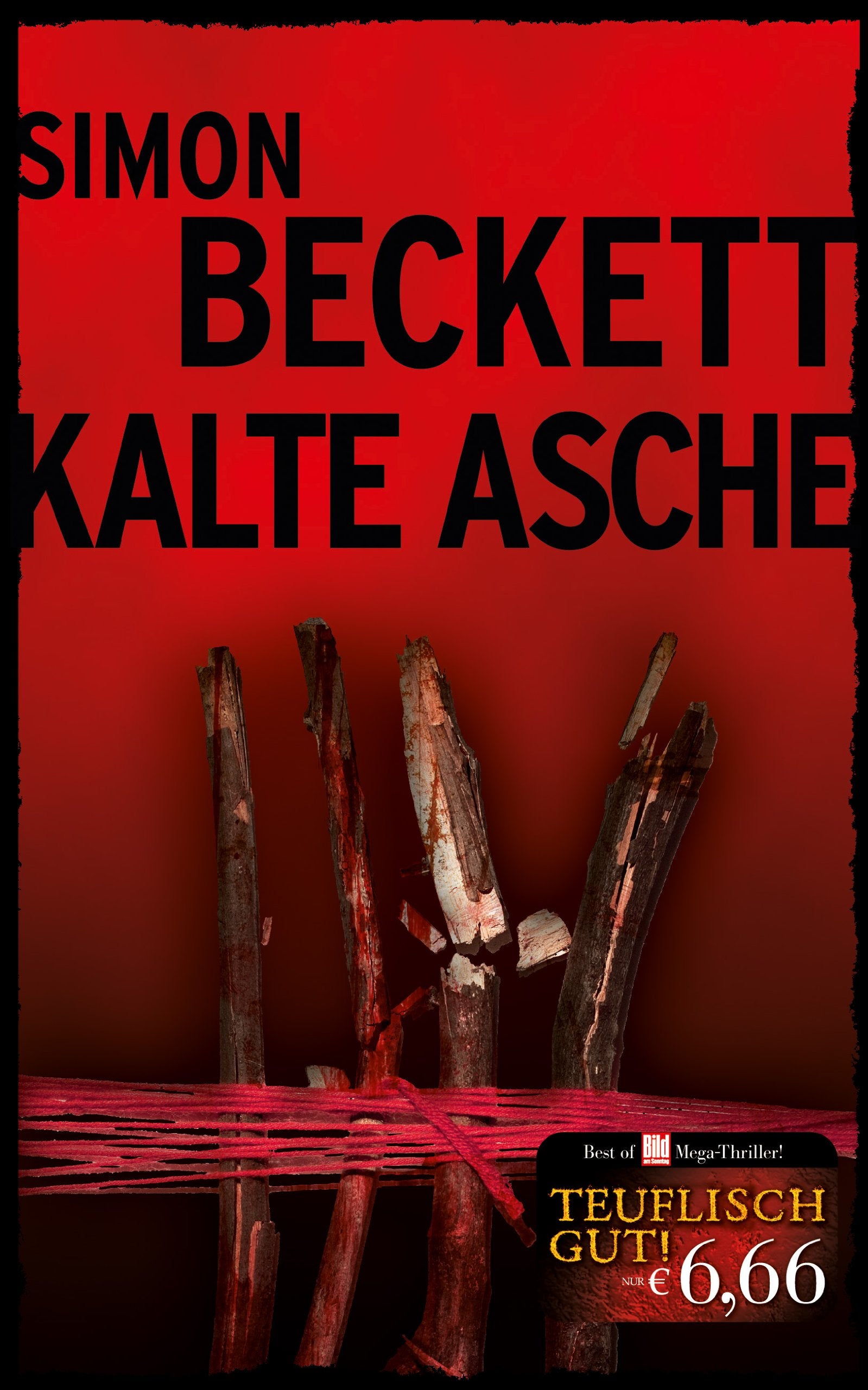 Simon Beckett - Kalte Asche Contemporary literature Books