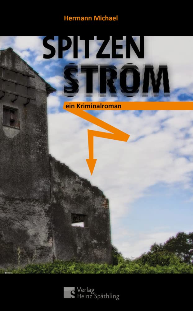 Spitzenstrom: Ein Kriminalroman aus dem Fichtelgebirge Contemporary literature