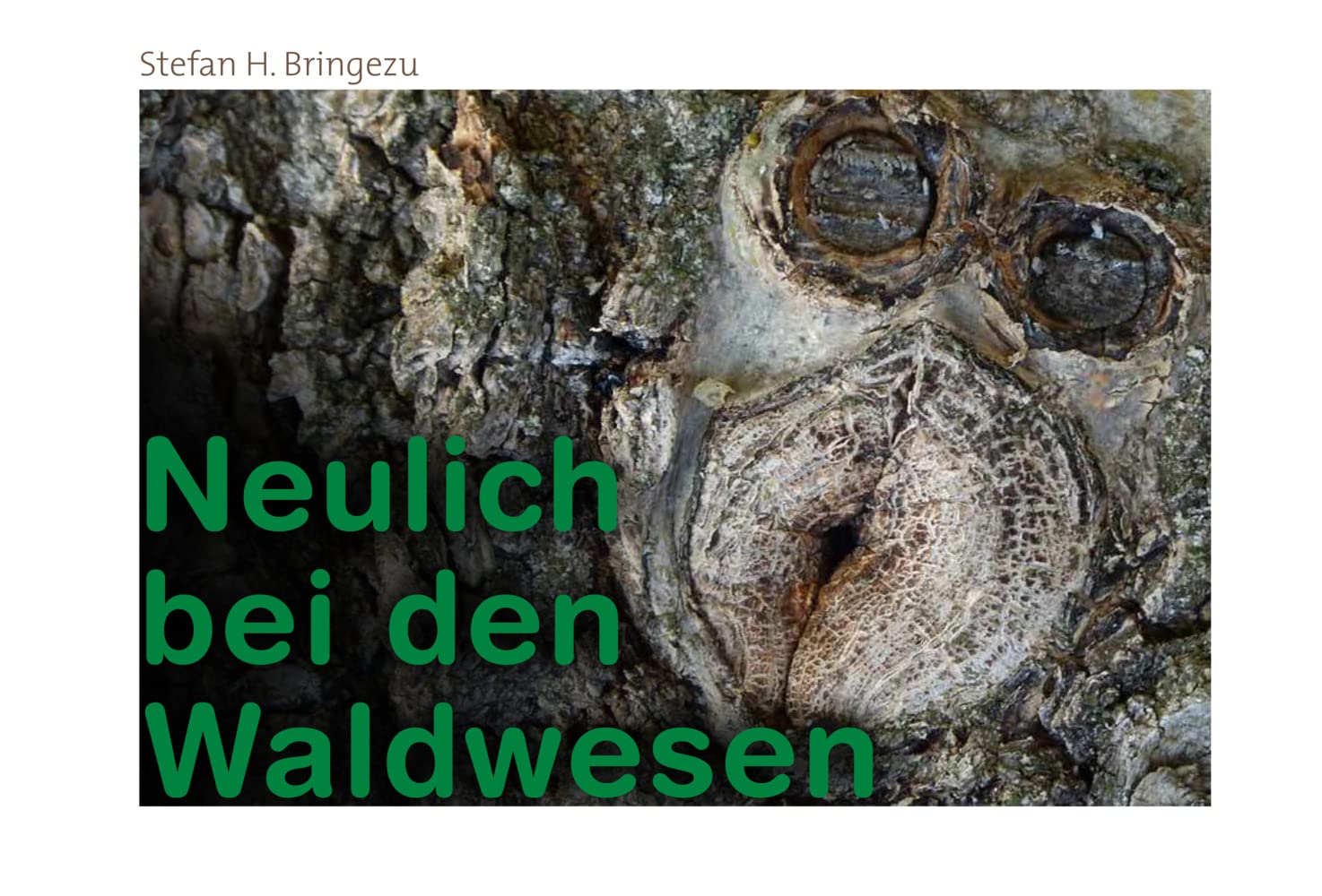 Neulich bei den Waldwesen: fabelhafte Szenen aus dem Leben der Waldwesen Travel