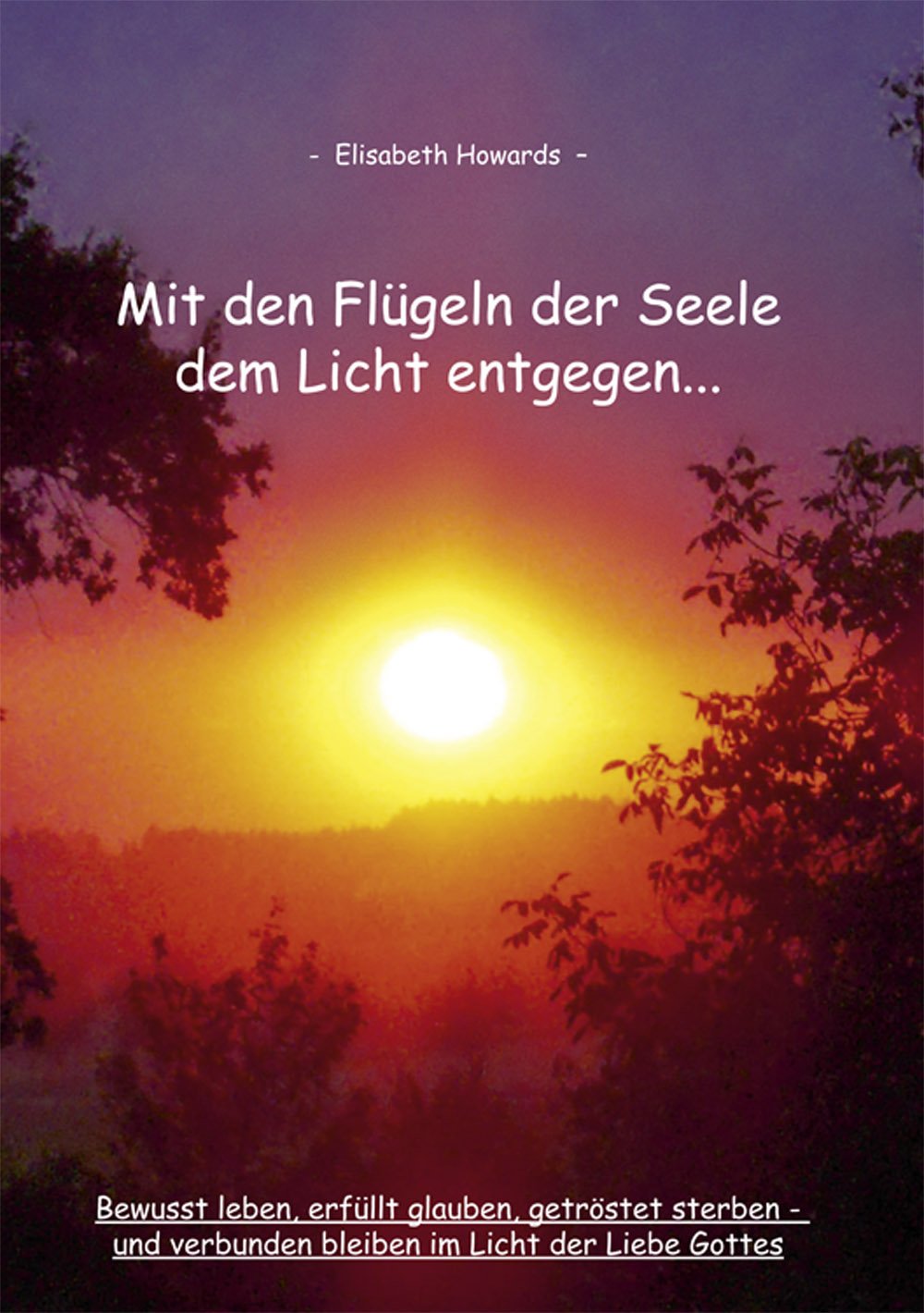 Mit den Flügeln der Seele dem Licht entgegen Religion & Esotericism