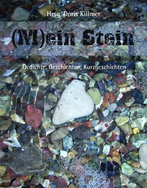 (M)ein Stein: Gedichte, Geschichten, Kurzgeschichten Contemporary literature