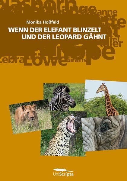 WENN DER ELEFANT BLINZELT UND DER LEOPARD GÄHNT: Ein Kinderbuch für kleine Abenteurer Novels & Short Stories